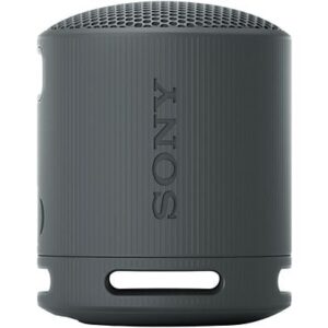 SONY SRS-XB100 Zwart