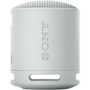 SONY SRS-XB100 Grijs