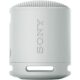 SONY SRS-XB100 Grijs