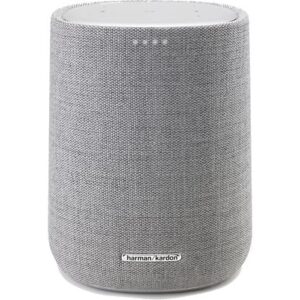 HARMAN KARDON Citation ONE Grijs