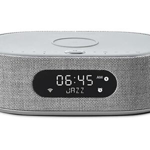 HARMAN KARDON Citation Oasis Grijs