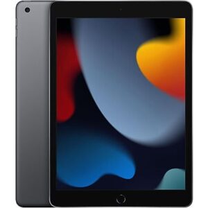 APPLE iPad - 64 GB - Grijs