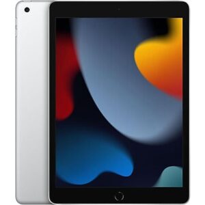 APPLE iPad - 64 GB - Zilver