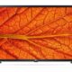 LG 32LM637BPLA (2021)
